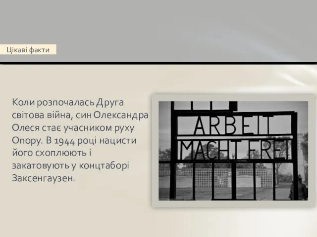 Коли розпочалась Друга світова війна, син Олександра Олеся стає учасником