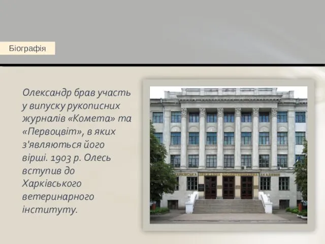 Олександр брав участь у випуску рукописних журналів «Комета» та «Первоцвіт»,