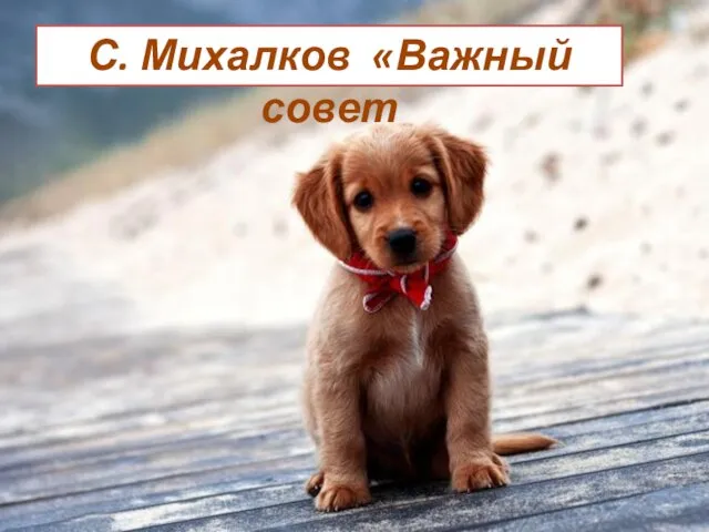 «Ты после грубого пинка Попробуй подзови щенка!» С. Михалков «Важный совет