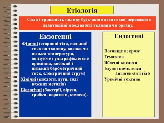 Етіологія Екзогенні Фізичні (сторонні тіла, сильний тиск на тканину, висока