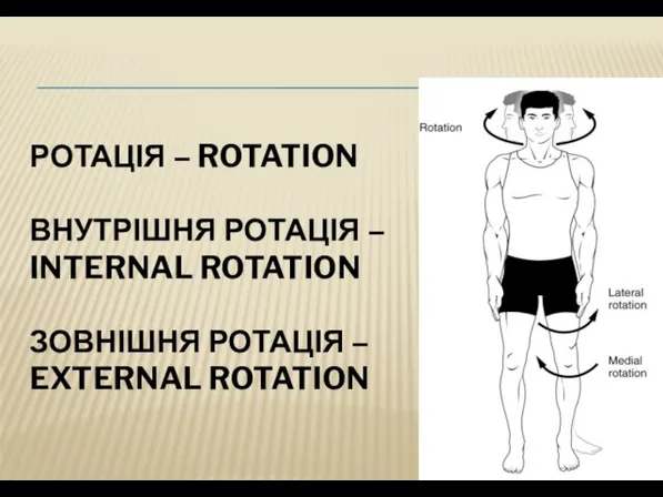 РОТАЦІЯ – ROTATION ВНУТРІШНЯ РОТАЦІЯ – INTERNAL ROTATION ЗОВНІШНЯ РОТАЦІЯ – EXTERNAL ROTATION