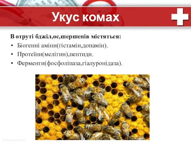 Укус комах В отруті бджіл,ос,шершенів містяться: Біогенні аміни(гістамін,допамін). Протеїни(мелітин),пептиди. Ферменти(фосфоліпаза,гіалуронідаза).