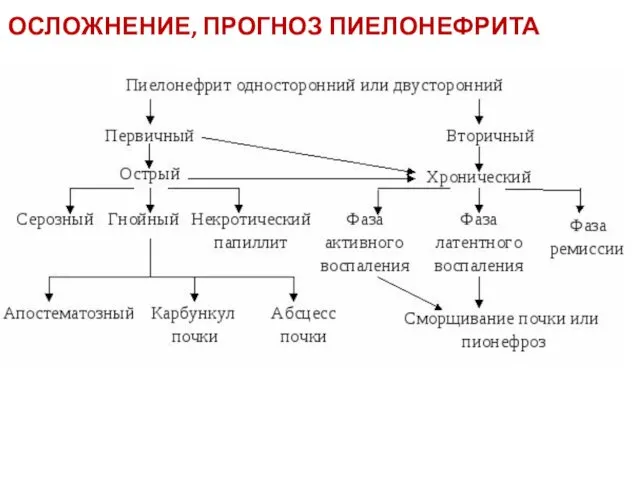 ОСЛОЖНЕНИЕ, ПРОГНОЗ ПИЕЛОНЕФРИТА