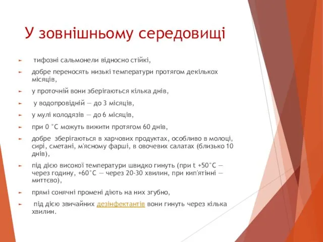 У зовнішньому середовищі тифозні сальмонели відносно стійкі, добре переносять низькі