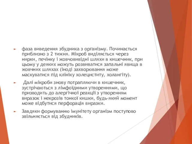 фаза виведення збудника з організму. Починається приблизно з 2 тижня.