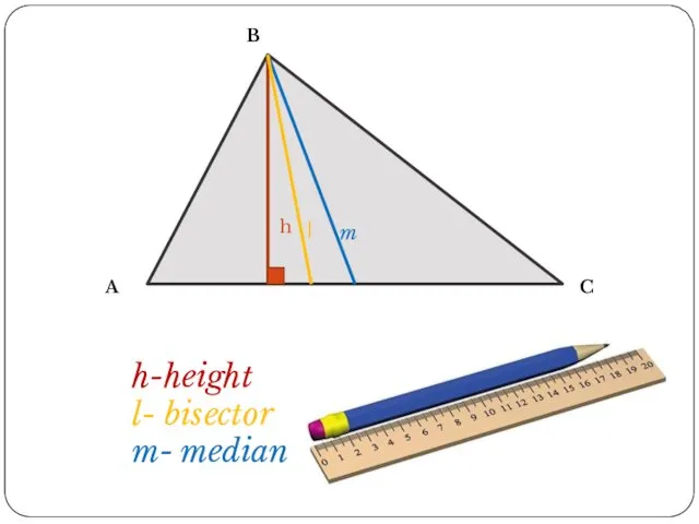 A B C h l m h-height l- bisector m- median