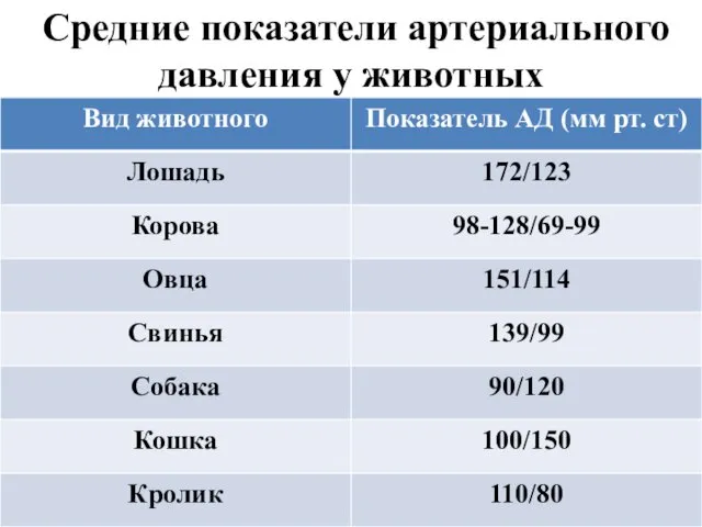 Средние показатели артериального давления у животных