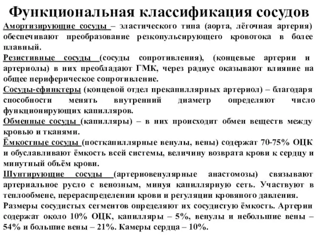 Функциональная классификация сосудов Амортизирующие сосуды – эластического типа (аорта, лёгочная