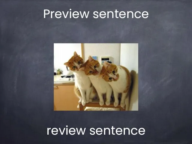 Preview sentence review sentence