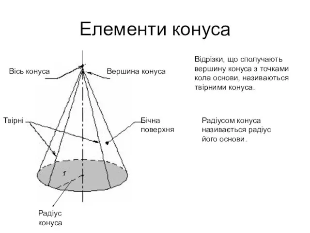 Елементи конуса Твірні Бічна поверхня Вісь конуса Вершина конуса Радіус