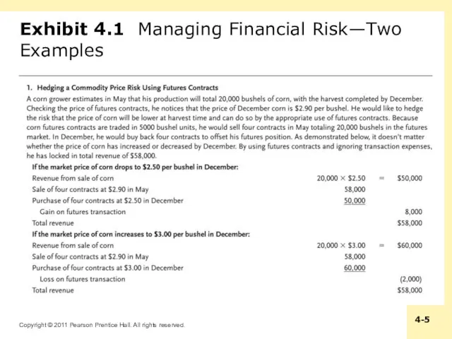 Exhibit 4.1 Managing Financial Risk—Two Examples