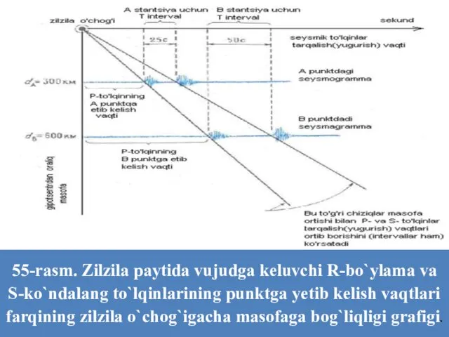 55-rasm. Zilzila paytida vujudga keluvchi R-bo`ylama va S-ko`ndalang to`lqinlarining punktga