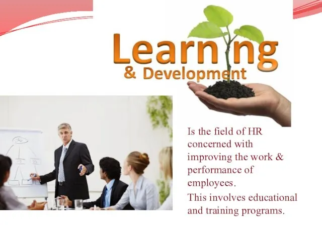 Learning & development Is the field of HR concerned with