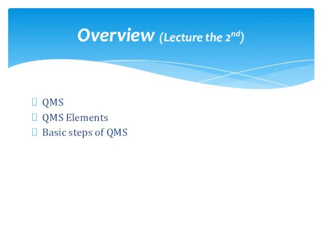QMS QMS Elements Basic steps of QMS Overview (Lecture the 2nd)