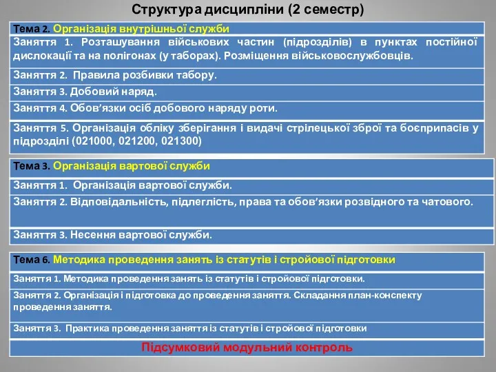 Структура дисципліни (2 семестр)