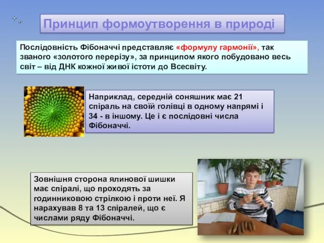 Послідовність Фібоначчі представляє «формулу гармонії», так званого «золотого перерізу», за