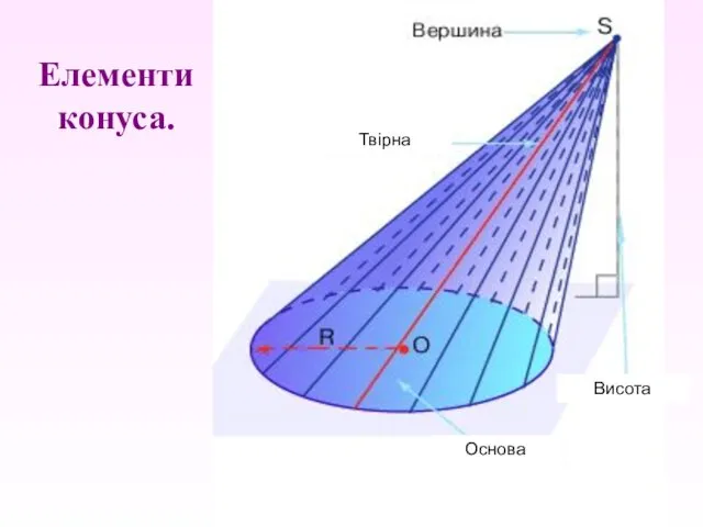 Елементи конуса. Твірна Основа Висота