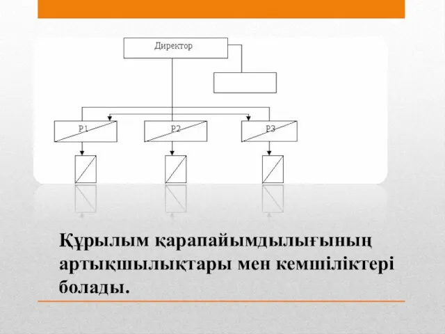 Құрылым қарапайымдылығының артықшылықтары мен кемшіліктері болады.