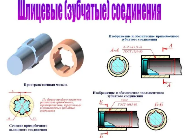 Шлицевые (зубчатые) соединения