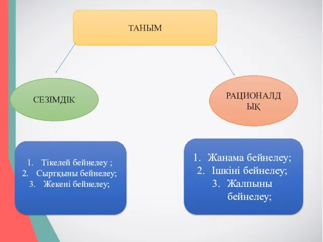 ТАНЫМ СЕЗІМДІК РАЦИОНАЛДЫҚ Тікелей бейнелеу ; Сыртқыны бейнелеу; Жекені бейнелеу; Жанама бейнелеу; Ішкіні бейнелеу; Жалпыны бейнелеу;