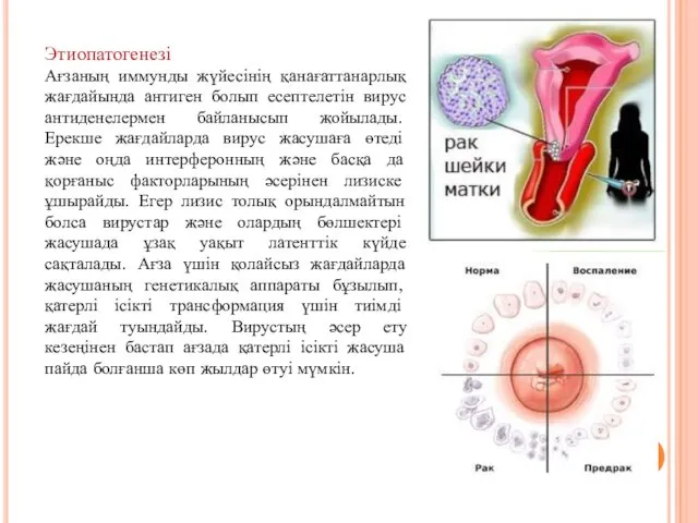 Этиопатогенезі Ағзаның иммунды жүйесінің қанағаттанарлық жағдайында антиген болып есептелетін вирус антиденелермен байланысып жойылады.