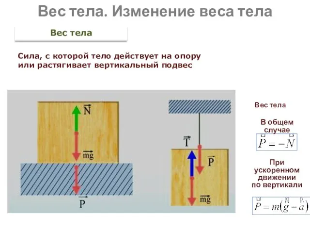 Вес тела. Изменение веса тела Вес тела Вес тела В