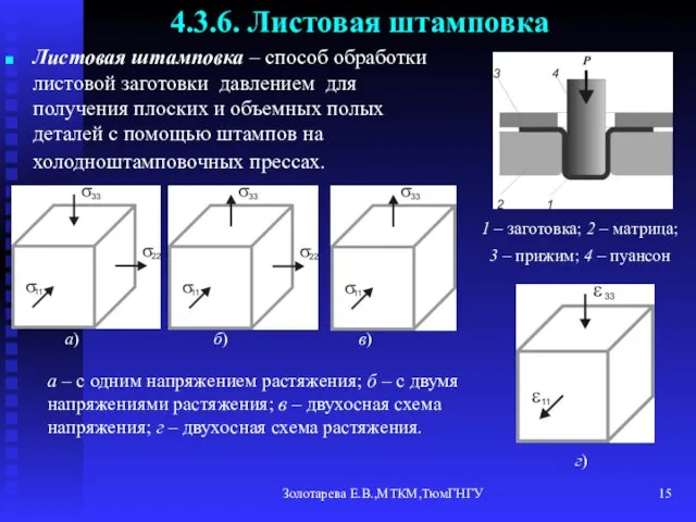 Золотарева Е.В.,МТКМ,ТюмГНГУ 4.3.6. Листовая штамповка Листовая штамповка – способ обработки