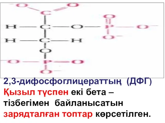 2,3-дифосфоглицераттың (ДФГ) Қызыл түспен екі бета – тізбегімен байланысатын зарядталған топтар көрсетілген.