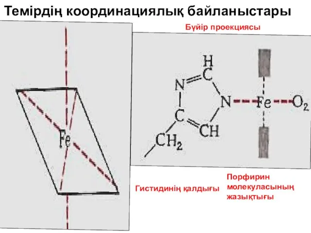 Темірдің координациялық байланыстары