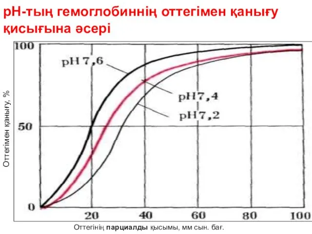 рН-тың гемоглобиннің оттегімен қанығу қисығына әсері