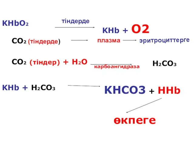 KHbO2 KHb + O2 CO2 (тіндерде) плазма CO2 (тіндер) +