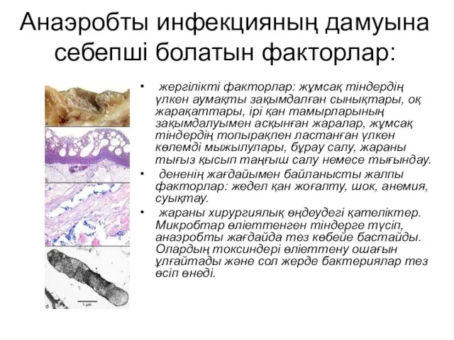 Анаэробты инфекцияның дамуына себепші болатын факторлар: жергілікті факторлар: жұмсақ тіндердің үлкен аумақты зақымдалған