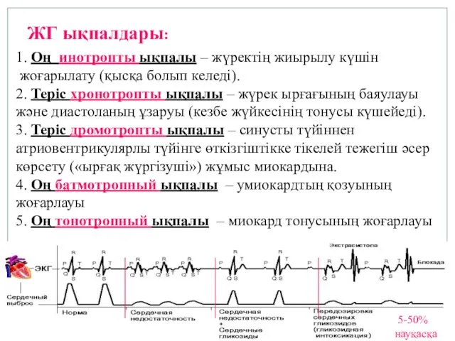 ЖГ ықпалдары: 1. Оң инотропты ықпалы – жүректің жиырылу күшін