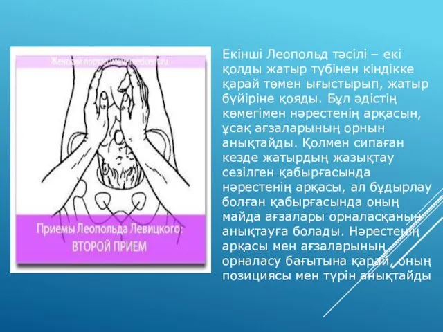 Екінші Леопольд тәсілі – екі қолды жатыр түбінен кіндікке қарай