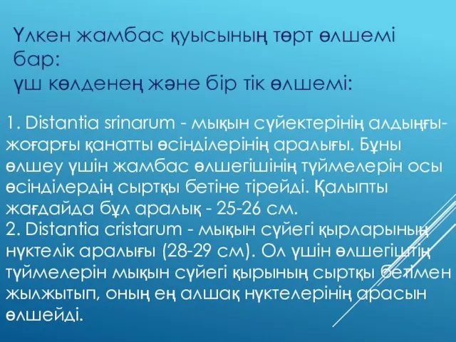 Үлкен жамбас қуысының төрт өлшемі бар: үш көлденең және бір