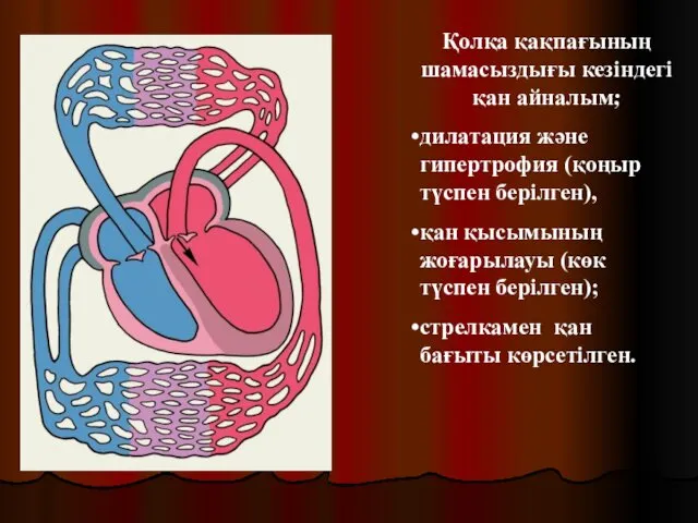 Қолқа қақпағының шамасыздығы кезіндегі қан айналым; дилатация және гипертрофия (қоңыр