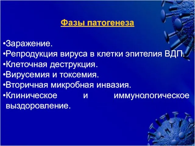 Фазы патогенеза Заражение. Репродукция вируса в клетки эпителия ВДП. Клеточная