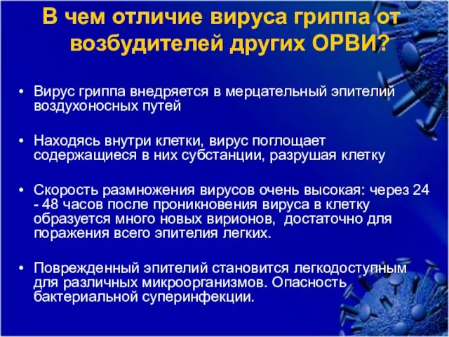 Вирус гриппа внедряется в мерцательный эпителий воздухоносных путей Находясь внутри