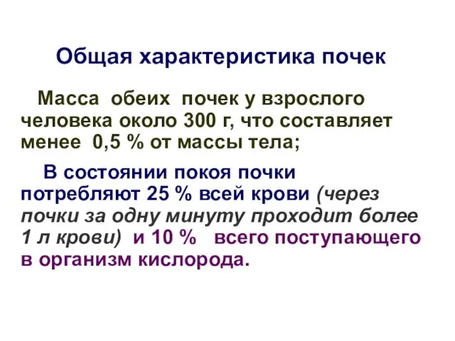 Общая характеристика почек Масса обеих почек у взрослого человека около