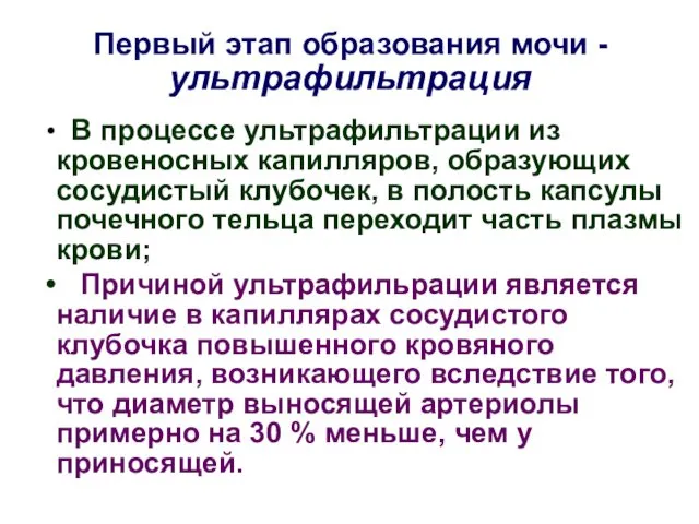 Первый этап образования мочи - ультрафильтрация В процессе ультрафильтрации из