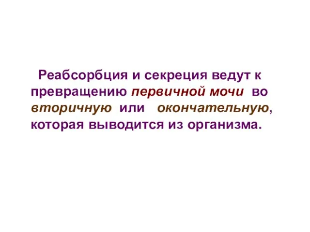 Реабсорбция и секреция ведут к превращению первичной мочи во вторичную или окончательную, которая выводится из организма.