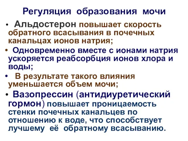 Регуляция образования мочи Альдостерон повышает скорость обратного всасывания в почечных