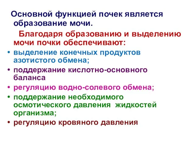 Основной функцией почек является образование мочи. Благодаря образованию и выделению