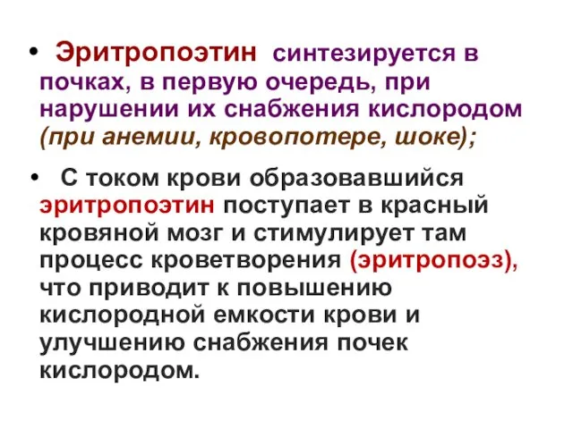 Эритропоэтин синтезируется в почках, в первую очередь, при нарушении их