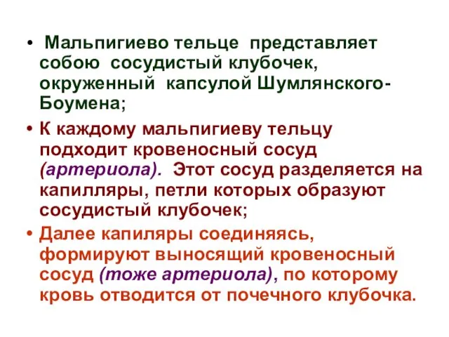 Мальпигиево тельце представляет собою сосудистый клубочек, окруженный капсулой Шумлянского-Боумена; К