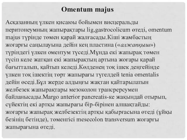 Omentum majus Асқазанның үлкен қисаюы бойымен висцеральды перитонеумның жапырақтары lig,gastrocolicum өтеді, omentum majus
