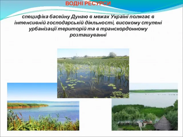 ВОДНІ РЕСУРСИ специфіка басейну Дунаю в межах Україні полягає в інтенсивній господарській діяльності,