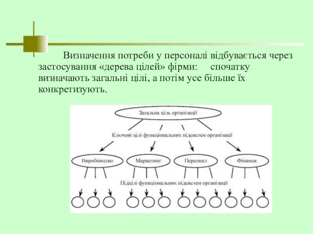 Визначення потреби у персоналі відбувається через застосування «дерева цілей» фірми: спочатку визначають загальні