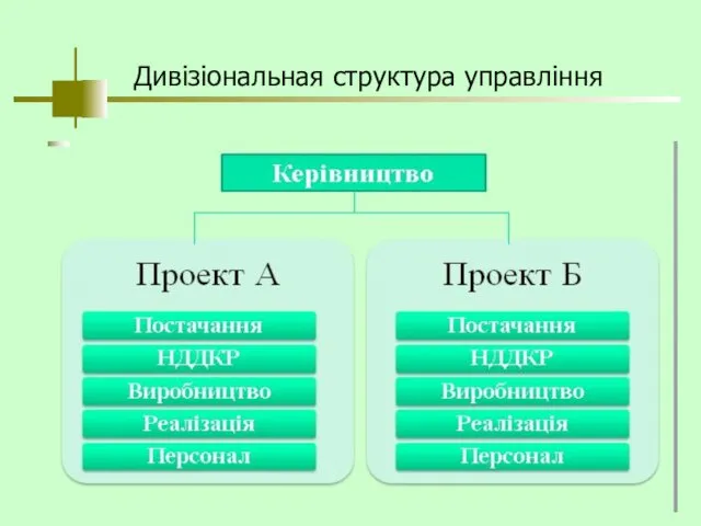 Дивізіональная структура управління