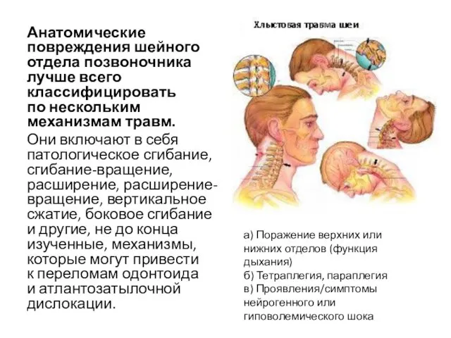 Анатомические повреждения шейного отдела позвоночника лучше всего классифицировать по нескольким